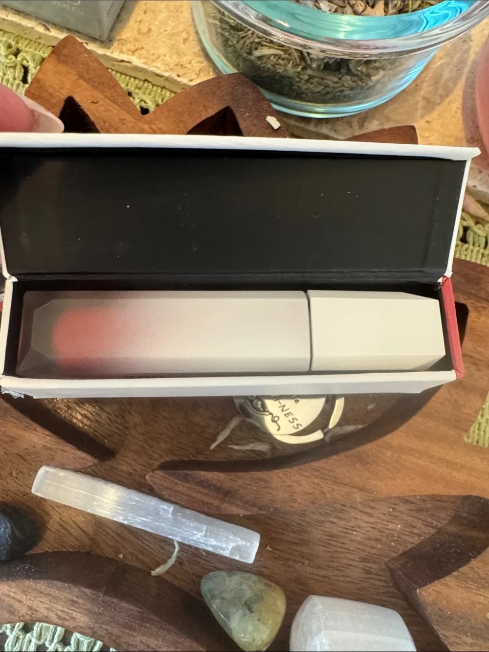 IL MAKIAGE Ultra Maximizing INSTANT Lip Plumper - Unsensored Quickie! 👄🫦💋💄